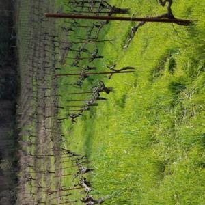 Meet your Posher, Eileen